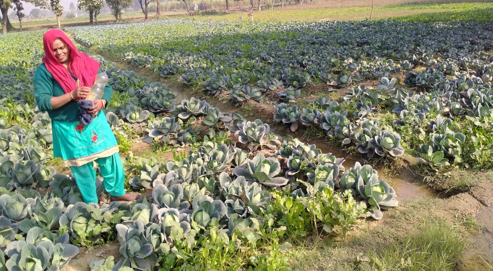 women in agriculture